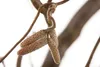 Corylus avellana, Haselnuss, 60–100 cm Produktbild-Vorschau 3