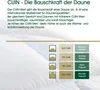 PRO SLEEP - 975.52.003 EXTRA WARM Daunendecke 4x6 Karos / Voir les images du produit 2