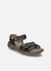 JOSEF SEIBEL Brenda 06 | Sandale für Damen | Schwarz Produktbild-Vorschau 14