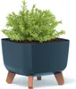 A square blue planter with a green plant and brown legs on a white background. Produktbild-Vorschau