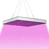 Jayseuw LED lampa na rastliny Rastúca lampa na izbové Náhľad obrázku produktu 1