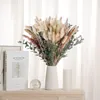 100% Natürliche Trockenblumen,Pampasgras Trockenblumen Produktbild-Vorschau 2