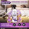bio-chem Enzymreiniger Spray 750 ml Lavendel gegen Urin, Produktbild-Vorschau 3