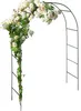 Speed Rosenbogen 240x140x38cm Metall Pergola Rankhilfe Produktbild-Vorschau 1