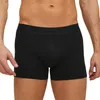 Jack & Jones 5-pak retro szortów / spodni Jactone Podgląd zdjęcia produktu 7
