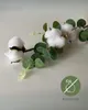 Trockenblume Echter Baumwollzweig, Farbe grün, 3 Stiele, 10 Produktbild-Vorschau 5