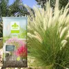 Gras-Substrat 20 l - Hochwertig - Nährstoffreich - Für Produktbild-Vorschau 3