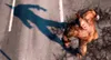 The Amazing Spider-Man Produktbild-Vorschau 3