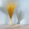 Federgras Getrocknete - (Stipa pennata) - Ingwer Produktbild-Vorschau 2