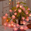 A string of LED rose lights is draped around a potted plant, with some lights resting on a table with newspapers. Produktbild-Vorschau