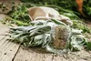 SAFLAX  -- Salvia - 60 semi - Con substrato - Salvia Anteprima dell’immagine prodotto 9