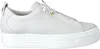 Paul Green Plateau Schnürschuhe Damen 38362D35303137 Beige Produktbild-Vorschau 37