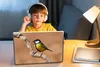 MuchoWow® Laptop Aufkleber Sticker Cover Vogel - Kohlmeise Produktbild-Vorschau 3