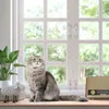 Aopunly rete per gatti da balcone Rete trasparente per Anteprima dell’immagine prodotto 6
