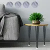 A modern living room scene with a couch, end table, and plant. Podgląd zdjęcia produktu