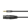 A product shot of an audio cable with a 3.5mm jack on one end and an XLR connector on the other, against a white background. Anteprima dell’immagine prodotto