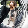 A dog wearing a harness is sitting in the passenger seat of a car. Produktbild-Vorschau