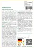 SAFLAX - Nordmanntanne - Abies nordmanniana - 20 Samen - Produktbild-Vorschau 3