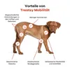 Treatsy Mobility +25 für Hunde über 25 kg – 30 Kau-Snacks Produktbild-Vorschau 3
