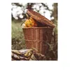Cesto per la raccolta della frutta, gerla, zaino in salice Anteprima dell’immagine prodotto 9