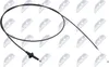 NTY Motorhaubenzug EZC-TY-052 für TOYOTA PRIUS Liftback Produktbild-Vorschau 1