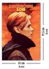 David Bowie Poster Low  61 x 91,5 cm Produktbild-Vorschau 5