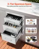 VEVOR 3 cassetti BBQ cassetti 36X51cm cassetto barbecue gas Anteprima dell’immagine prodotto 2