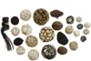 A collection of decorative natural objects arranged on a white background. Produktbild-Vorschau