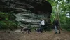Ruffwear Hi & Light™ Hundegeschirr Produktbild-Vorschau 9