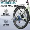 Elektrische stadsfiets en elektrische Hollandfiets, 28 Productafbeelding-voorbeeld 11