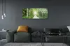 Glasbilder 125x50 Wandkunst Birke Forstweg Produktbild-Vorschau 4