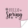 MuchoWow® Poster Frühling Zitat "Hallo Frühling" auf einem Produktbild-Vorschau 1