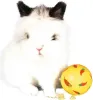 TRIXIE Snacky - Balle lapin - 7 cm Voir les images du produit 16