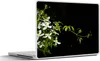 MuchoWow® Laptop Aufkleber Sticker Cover Ein kriechender Produktbild-Vorschau 1