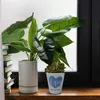 Bester Opa Blumentopf mit Spruch Opa Du bist der Beste Produktbild-Vorschau 3