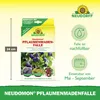 Neudorff Neudomon PflaumenmadenFalle 1 Stk. insektizidfrei Produktbild-Vorschau 3