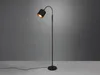 A black floor lamp with a curved neck and a gold interior lampshade is shown against a gradient gray background. Produktbild-Vorschau