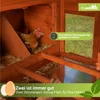 A chicken inside a wooden coop with text overlays highlighting features. Produktbild-Vorschau