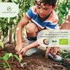 Chili Samen 5er Set - Chili Saatgut aus biologischem Anbau Produktbild-Vorschau 4