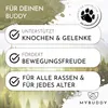 MYBUDDY Move Gelenktabletten Hund mit Grünlippmuschel MSM Produktbild-Vorschau 3