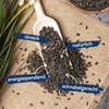 25 kg Lyra Pet® Sonnenblumenkerne schwarz Neue Ernte Produktbild-Vorschau 2
