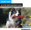 CHEWTASTIX Szczoteczka do zębów dla psa usuwająca kamień Podgląd zdjęcia produktu 4