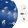 A string of star-shaped LED lights on a blue background, with informational icons on the right. Anteprima dell’immagine prodotto