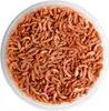 Terrario Repti Bites Gammarus 250ml - kiełż zdrojowy Podgląd zdjęcia produktu 4