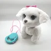 Hasbro Furreal Gogo Tancujúce šteňa Náhľad obrázku produktu 14