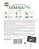 SPERLI Birnenmelonensamen Pepino Solanum muricatum 10 Produktbild-Vorschau 4