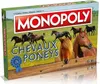 Monopoly Cavalli e Pony Gioco da tavolo di Winning Moves, Anteprima dell’immagine prodotto 4