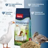 PANTO WGK Wassergeflügelkorn (3 mm gekörnt) 25kg - für Produktbild-Vorschau 2