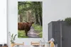 MuchoWow® Poster Schottischer Highlander - Kröte - Baum Produktbild-Vorschau 2