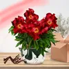 Pfingstrozen, winterhard, Itoh Red Passion - 1 wortel - Productafbeelding-voorbeeld 2